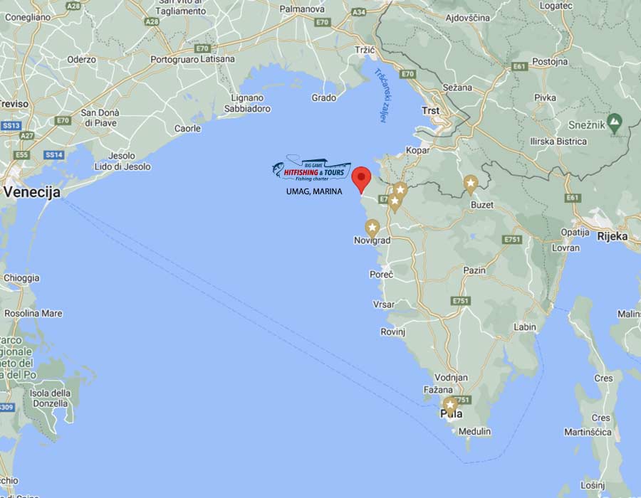 Hit fishing and tours Google maps